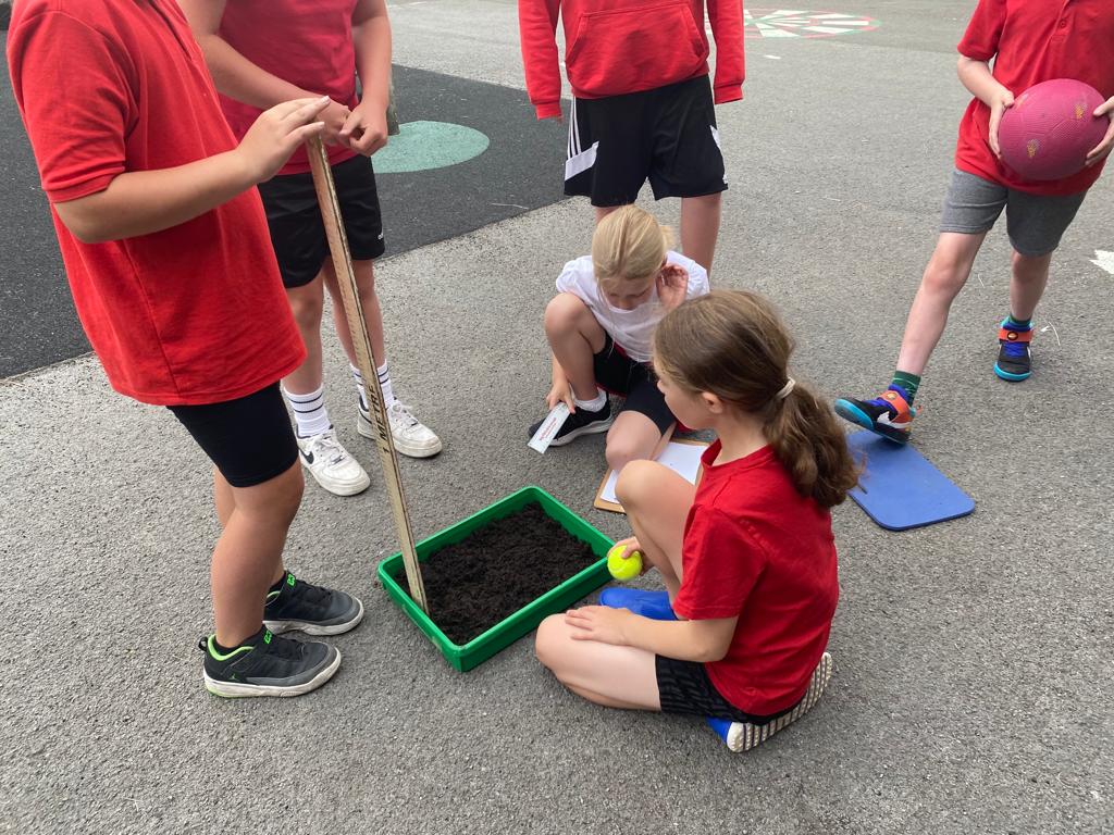 Crymlyn Primary tweet media