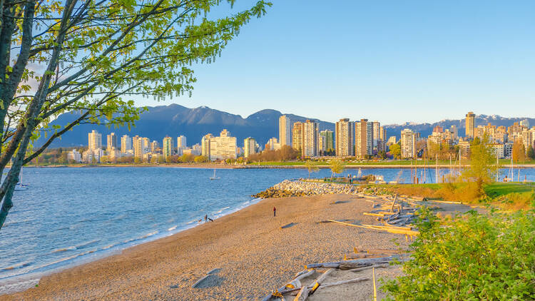 vidhithakkar's tweet photo. The #views from my summer travels. When you live in B.C. you have to enjoy the view on the weekend! We are  super excited &amp; thrilled that he is leading #newoperations at Kitsilano tomorrow, leading a team of 15 staff at a restaurant. #keymilestone #rosegarden walk #Vancouver, BC https://t.co/6wGPxAcQhR
