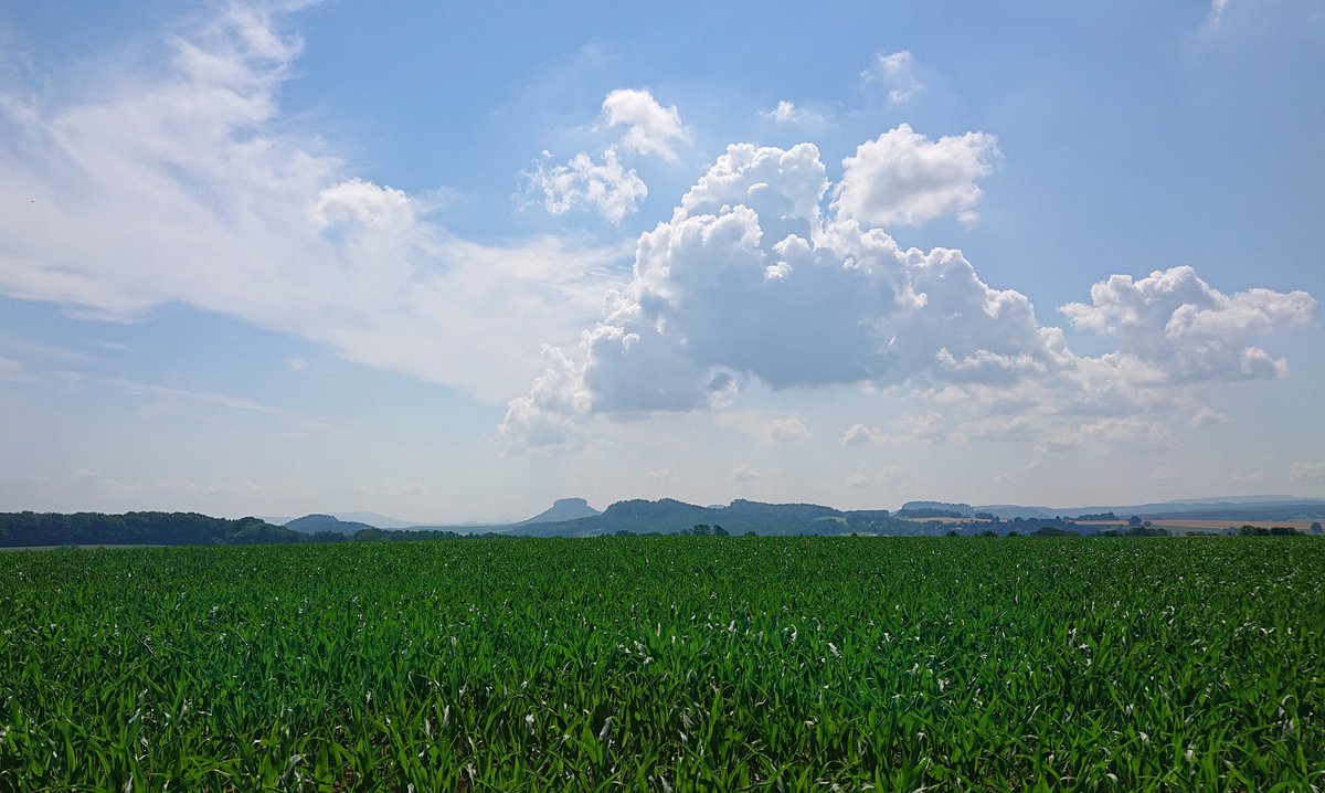 Der Lilienstein ist ausgebrochen.