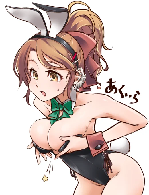 バニーアクィラカラーラフ 