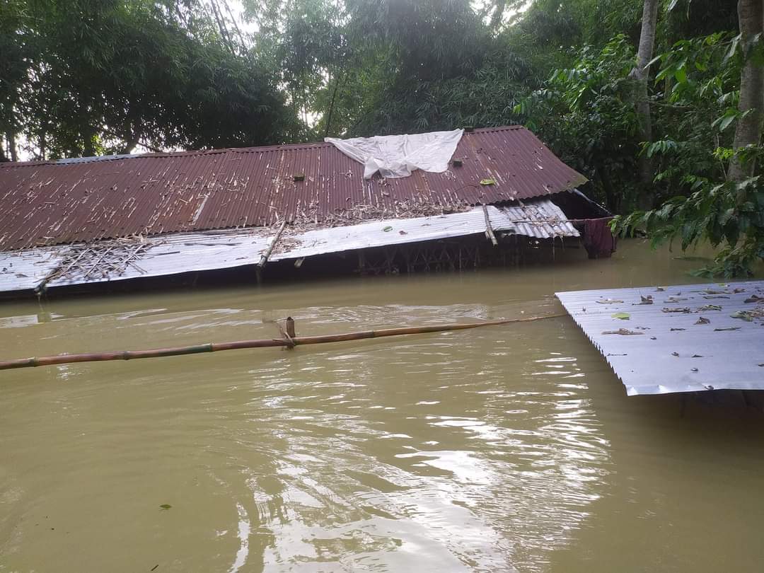 dhbarbhuiya1's tweet photo. Images of the catastrophic floods in the #Algapur LAC of #Hailakandi. 
Pray &amp; Come forward to help the flood victims of Algapur.
#FloodinHailkandi @himantabiswa
@dc_hailakandi @mygovassam @PMOIndia https://t.co/iqKgoU9FiA