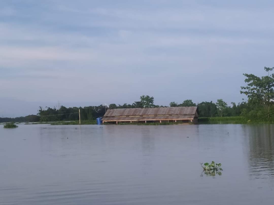 dhbarbhuiya1's tweet photo. Images of the catastrophic floods in the #Algapur LAC of #Hailakandi. 
Pray &amp; Come forward to help the flood victims of Algapur.
#FloodinHailkandi @himantabiswa
@dc_hailakandi @mygovassam @PMOIndia https://t.co/iqKgoU9FiA
