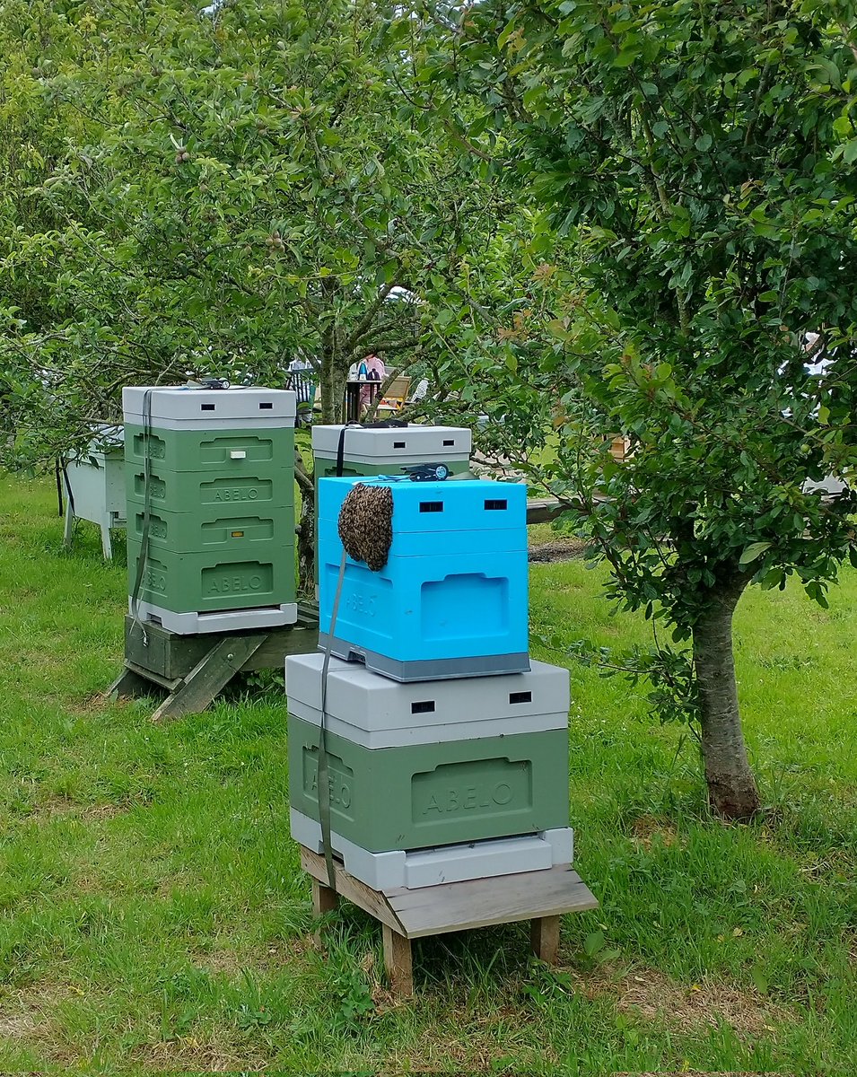 Why didn't they just go IN the box! 🙄