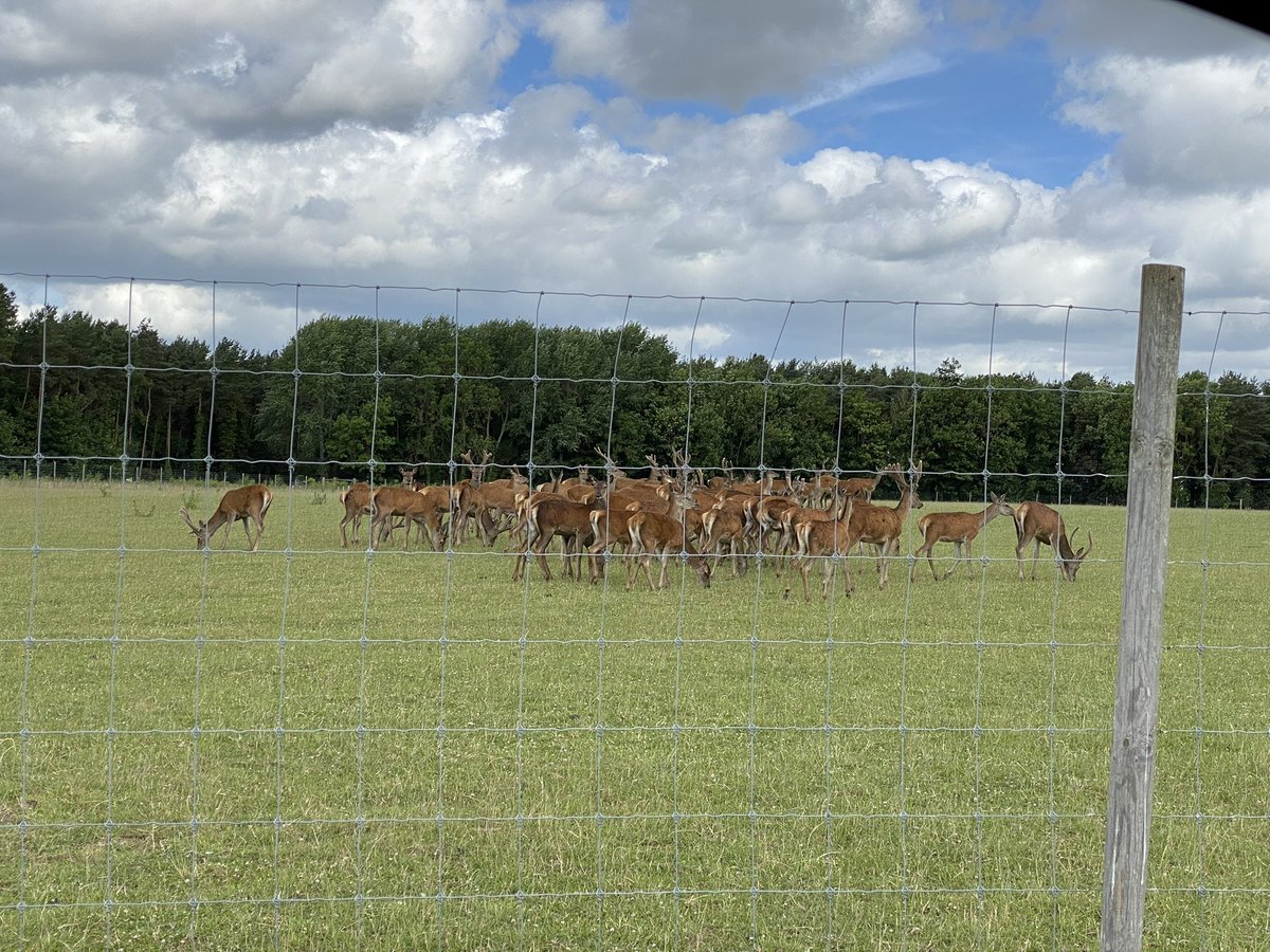 LincsConnect's tweet photo. #RoadTrip
What a lovely day I had today in #Baumber
First stop was to the Stourton Estates https://t.co/tdX88bms82 Summer Artisan Market where I had the pleasure of meeting and chatting to @MooKiJewellery @HayleyMamaBare and @GastronomyCrow1 amongst others π
#LincsConnect https://t.co/pkWIaTCjNN