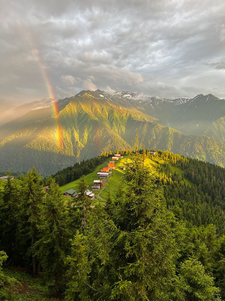 meltem_secmen's tweet photo. Tablo gibisin 🌲
#pokut 
#rize https://t.co/A6JKiA59r5