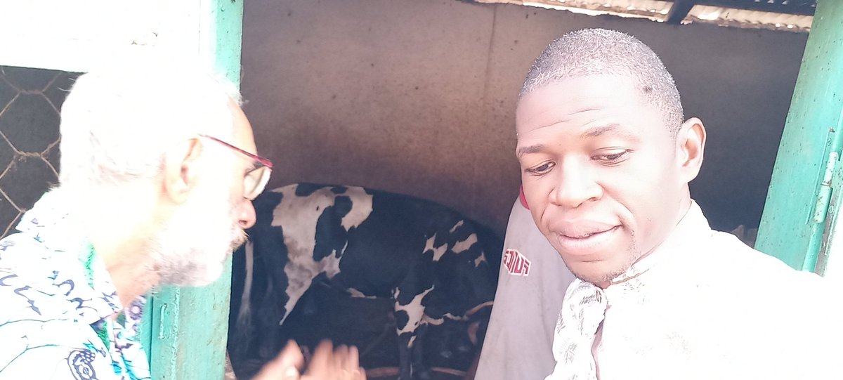 pamessoua's tweet photo. Avec l'arrivée des bœufs 🐂 Baoulé, nous marchons vers la formalisation de notre Clinique d'Accompagnement Entrepreneurial. 
#LaTerreNeMentPas https://t.co/Rir33KUkea