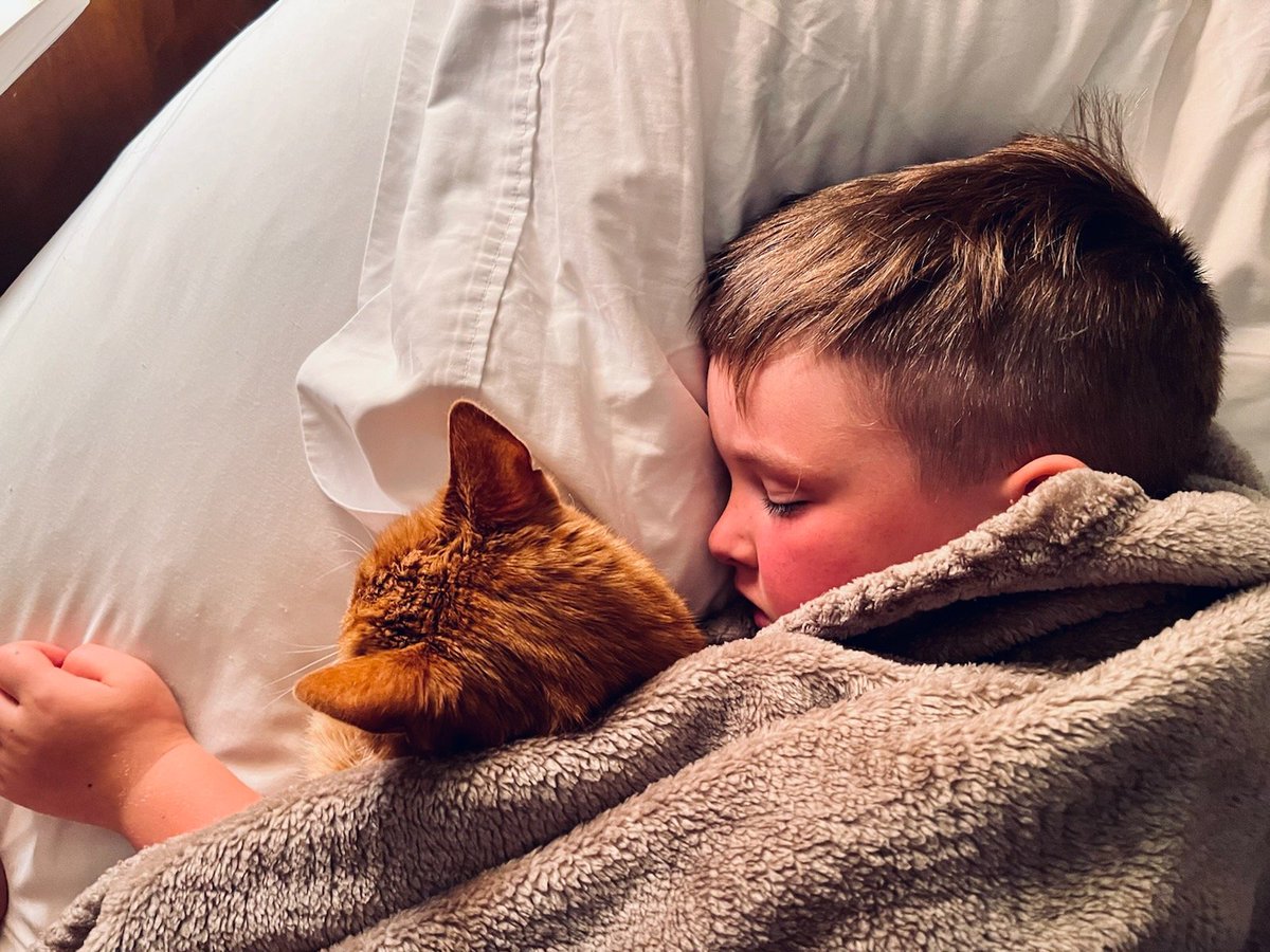 billyfitz54's tweet image. Grandson #2 and his favorite buddy! #palsforever