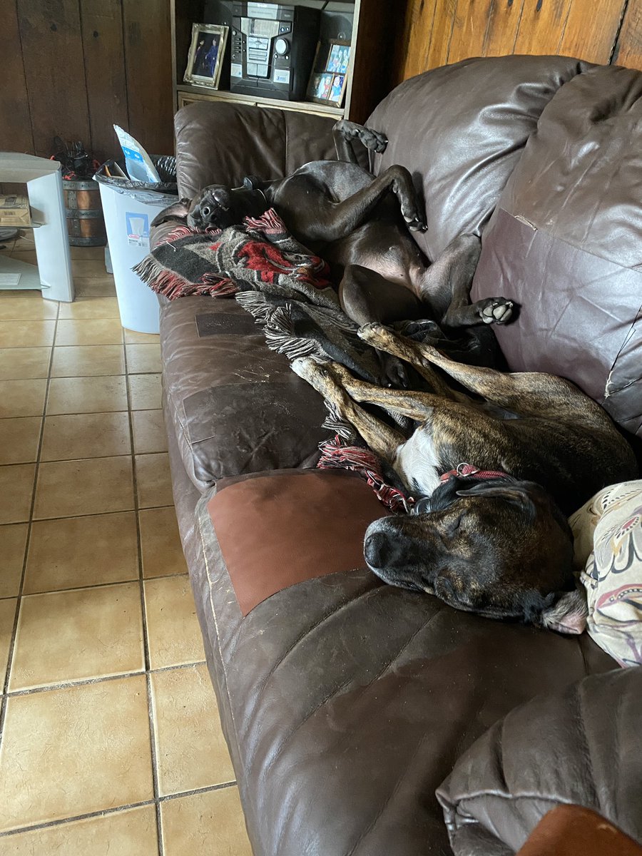 Michael Brown tweet media