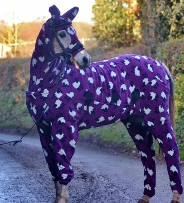 potapcomarov's tweet image. Funny horse