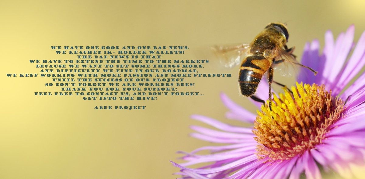 AppBee (@abeetoken) on Twitter photo 