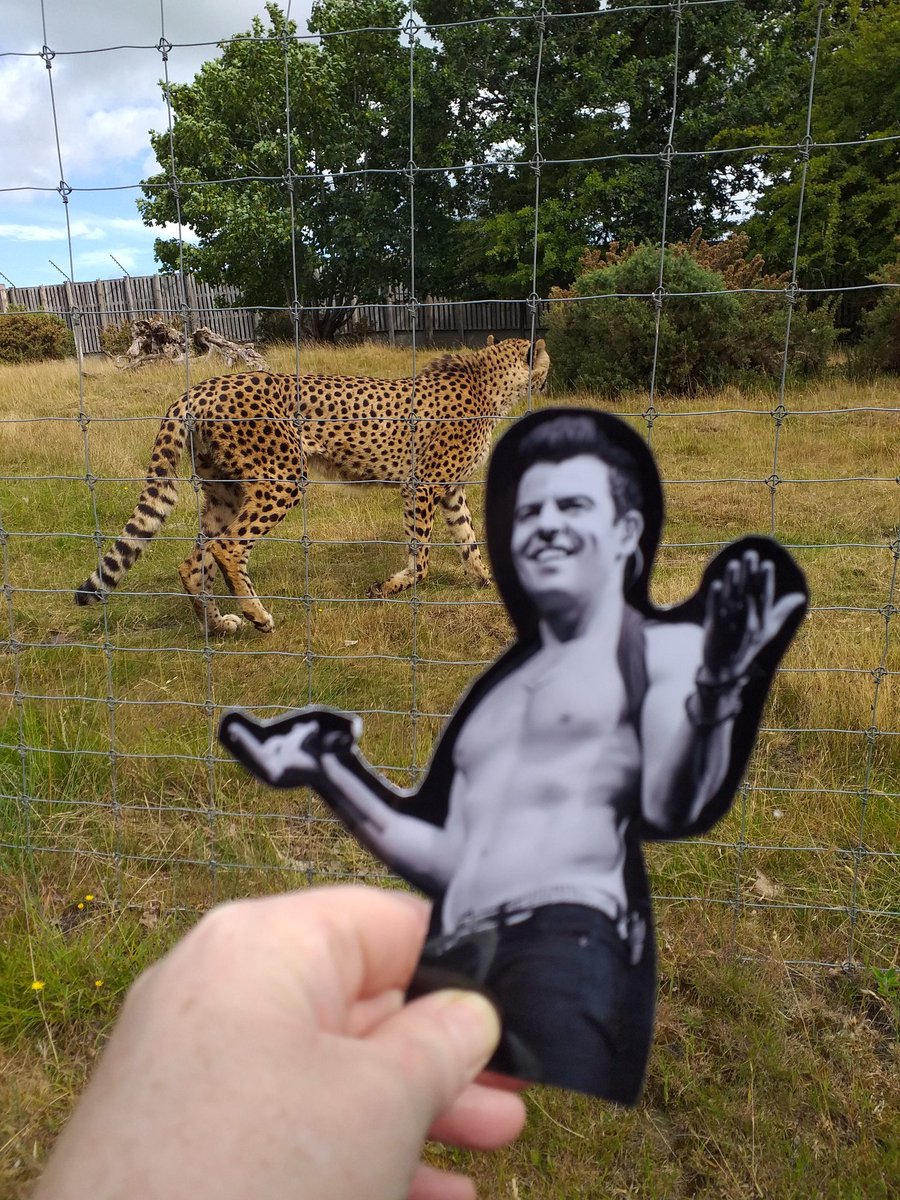 julielushjordan's tweet photo. Have had the most amazing day at West Midlands Safari Park with my bestie @SarahUKNKOTB, her children and ofcourse #flatjordan βοΈπ€π―π
π¦π¦πͺπππ¦π¦ https://t.co/kSczAosr5d