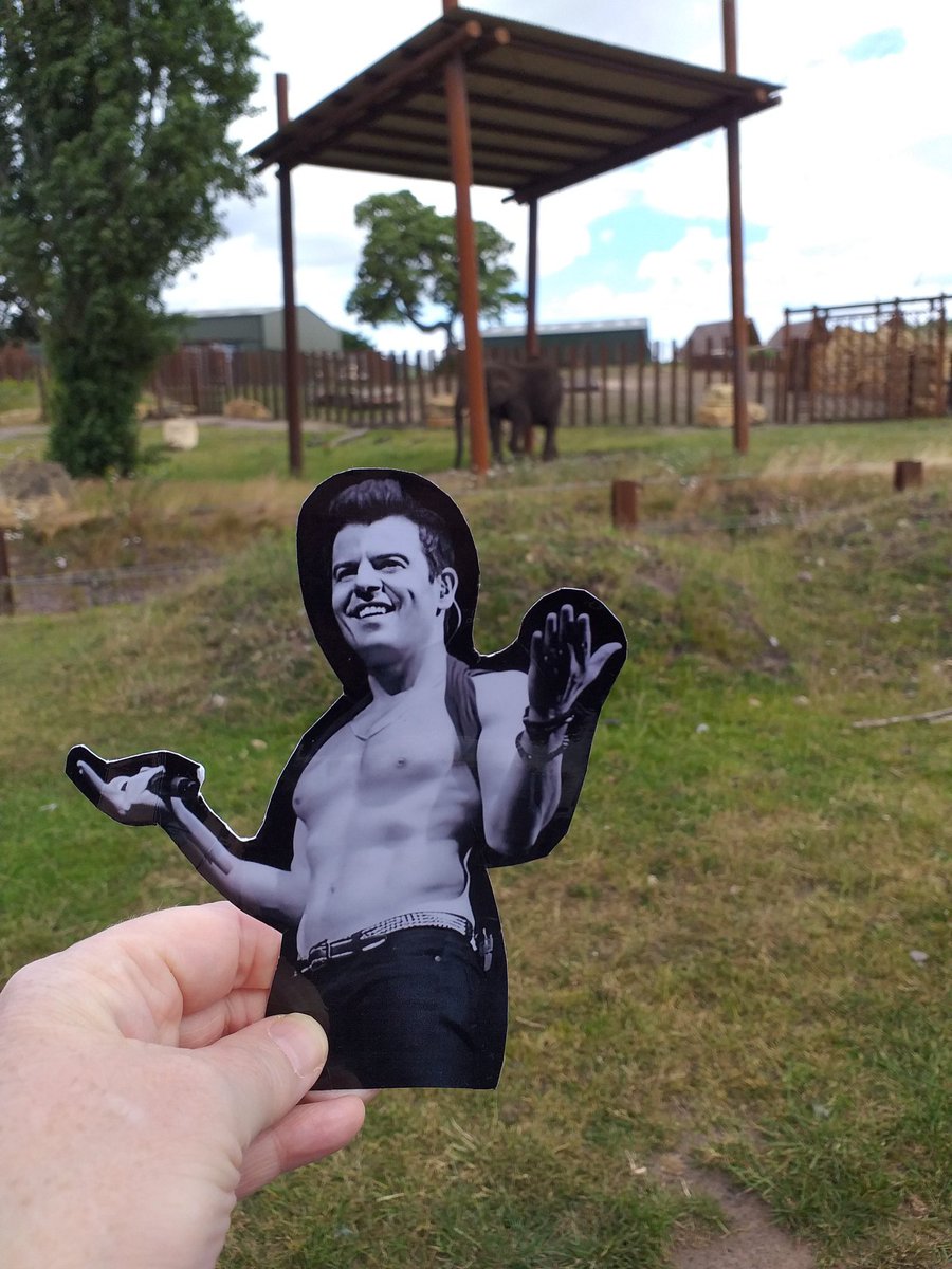 julielushjordan's tweet photo. Have had the most amazing day at West Midlands Safari Park with my bestie @SarahUKNKOTB, her children and ofcourse #flatjordan βοΈπ€π―π
π¦π¦πͺπππ¦π¦ https://t.co/kSczAosr5d