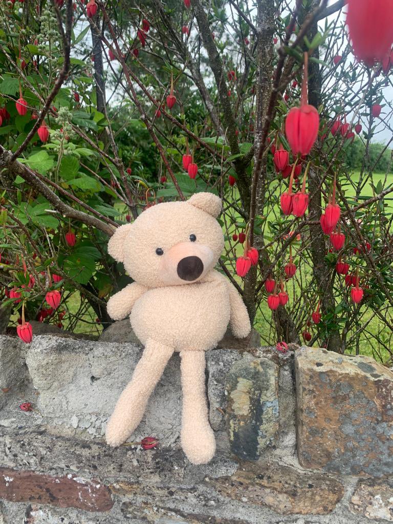 A huge well done to the <a href="/WarriorWally1/">Warrior Wally</a> team who relayed from Malin to Mizen in aid of Children’s Health Foundation Crumlin <a href="/CHIatCrumlin/">CHI at Crumlin</a> 

donate.justgiving.com/donation-amoun…