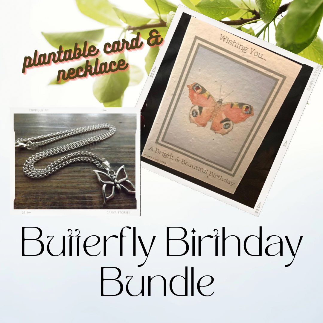 plantthiscard.co.uk #birthdaygifts #sbswinner #wow #queenof #smallbizuk