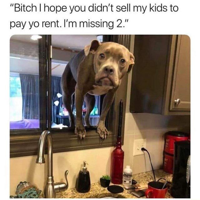 sivrajxx's tweet photo. @_dxndi Reminds me of this meme 😭 https://t.co/aWyRV2E2IF