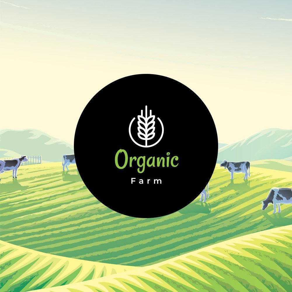 bnb_farm's tweet photo. We are growing! Join our eco-friendly family 🌻🌻🌻
 #bonuses #miner #Farm #BNB #BSC #P2EGame $DRIP $EMP #BNBMiner #YieldFarming #DeFi #defiyield #dApps #StakingRewards #Bakedbeans #passiveincome #Bakedbeansfork #BNB https://t.co/Bb42B2b1Ji