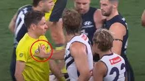 "We've put a clause in that every reportable offence needs to be compared with the hypothetical scenario of Toby doing it"

The AFLs MRP has adjusted their review process, adding in a 'If Toby Greene Did This ..' precedent to decisions, in line with commentary from AFL greats 👀
