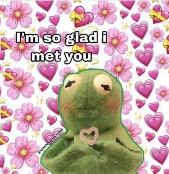 froggo memes (kinkyfrogmemes) / Twitter