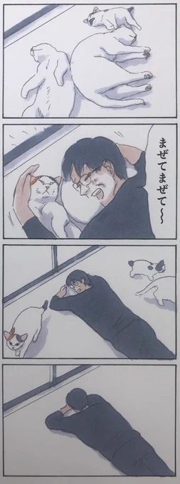 何気ない猫との暮らしの中の宝物を見つけるヒントがたくさん詰まった本です。
『拾い猫のモチャ7』6月29日発売です。https://t.co/MJSwBfmxZS 
