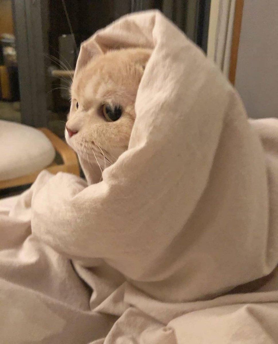 عندما يكون الحاضر سئ والمستقبل مجهول تضطر ان تعود للماضي لعلك تجد سبب لحياتك