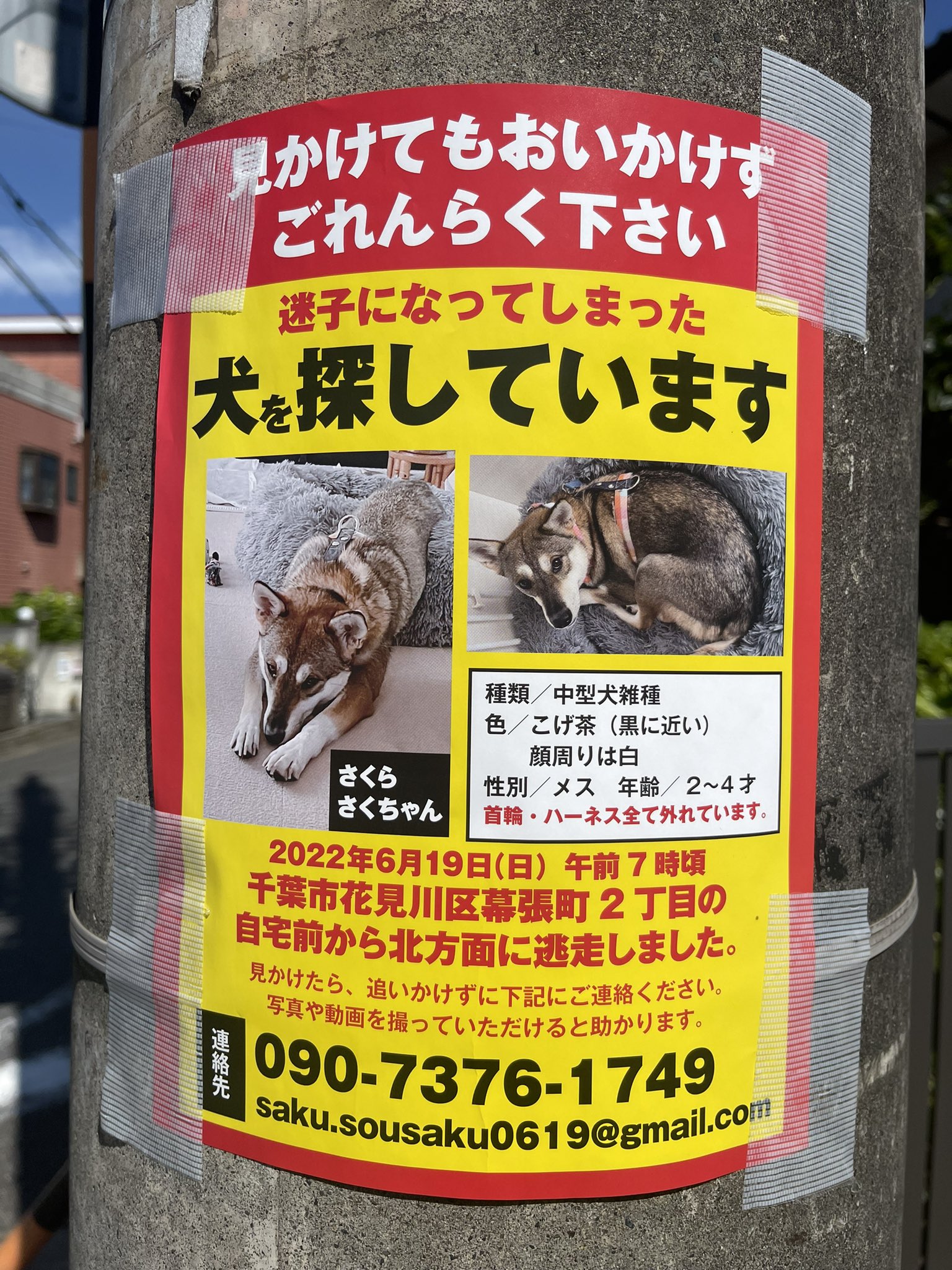 早く見つかりますように💕 拡散よろしくお願いします。 https://t.co/k1rX25AxXn
