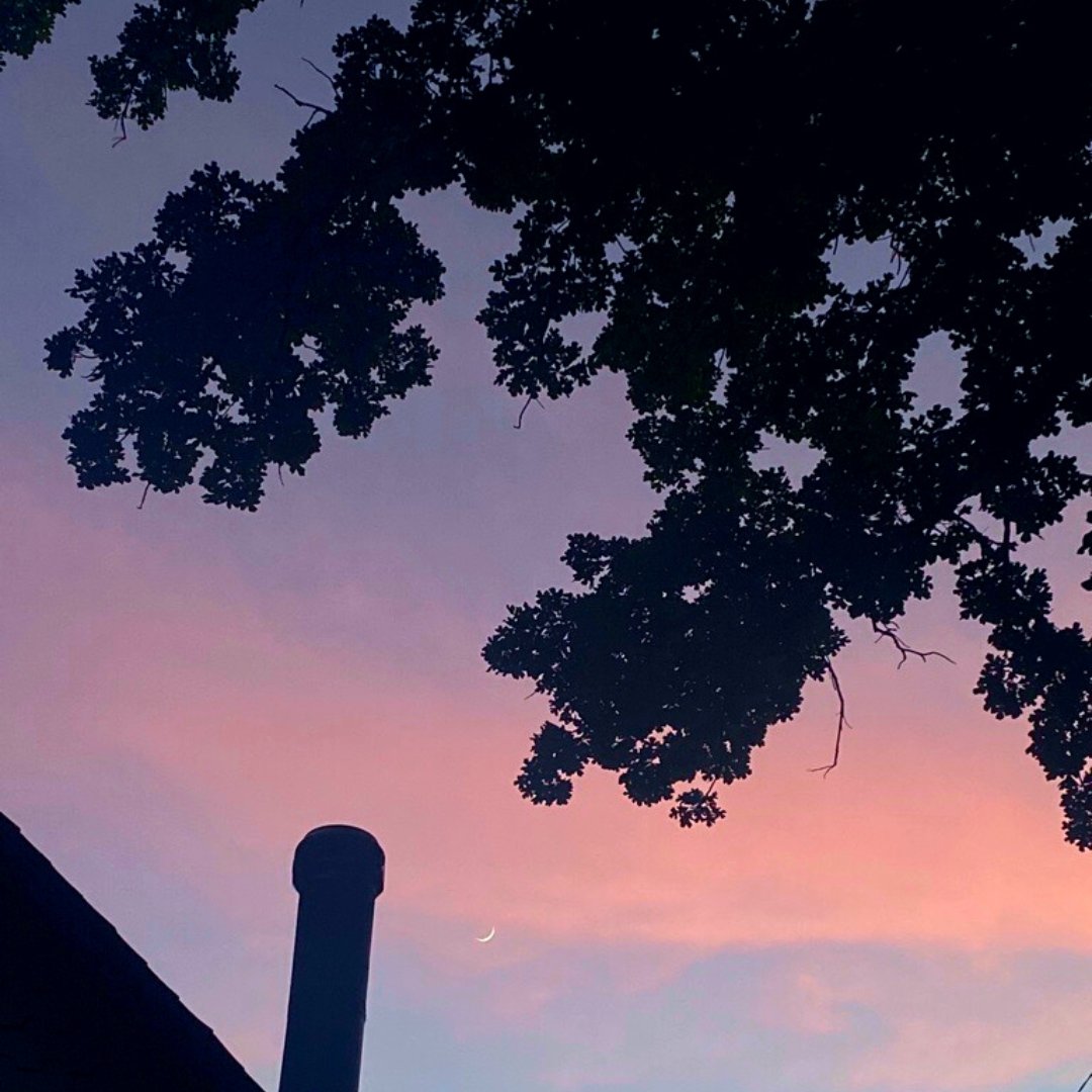 Indiana Owned tweet media