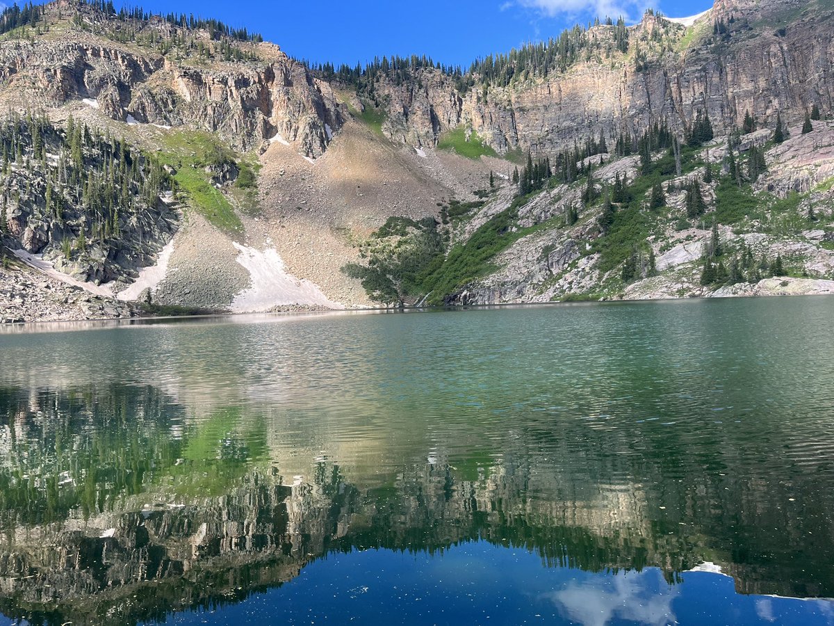 ChefMelman's tweet image. 