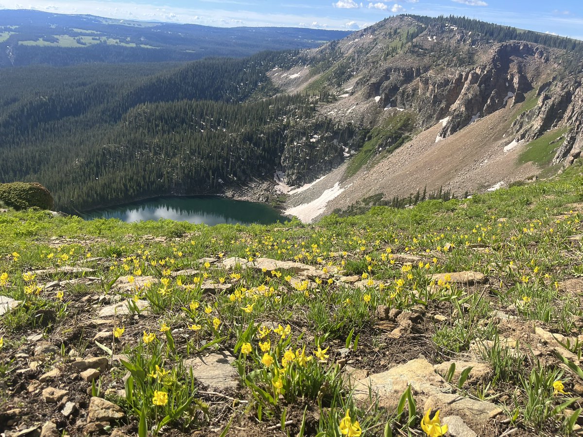 ChefMelman's tweet image. 