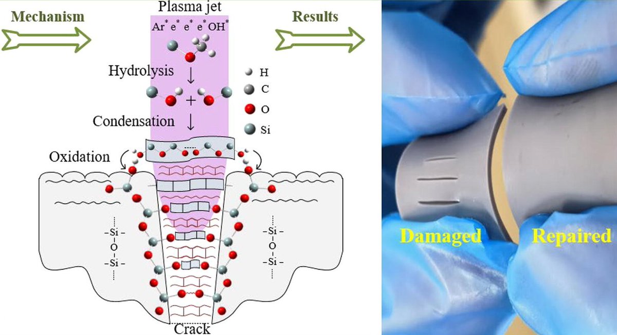 Plasma fix 🧑‍🔧   sciencedirect.com/science/articl…