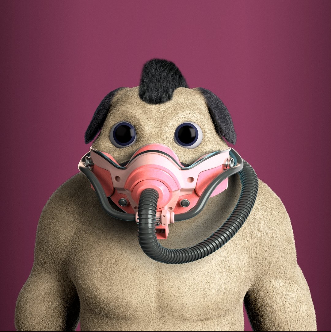 <a href="/TheFrenchiesNFT/">The Frenchies - APLHA PUGS MINT IS LIVE</a> just mint my alpha pugs. Thanks #thefrenchiesnft for the free mint.
I love the graphics quality 🐶🔥🐶
#Tfnft #alphapugs #mint #nft #solana #sol #nft #NFTCommunity
#dog