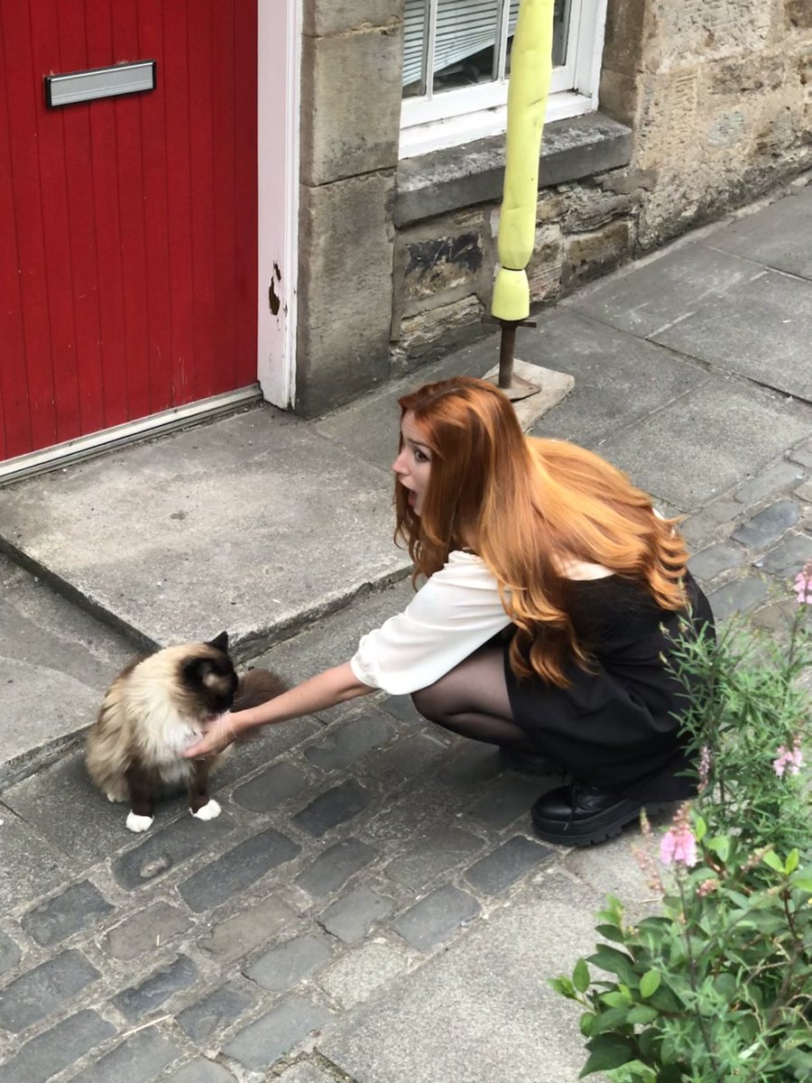 amandusmateus's tweet photo. encuentro un gatete > decide darme besitos https://t.co/NZEJxETQyg
