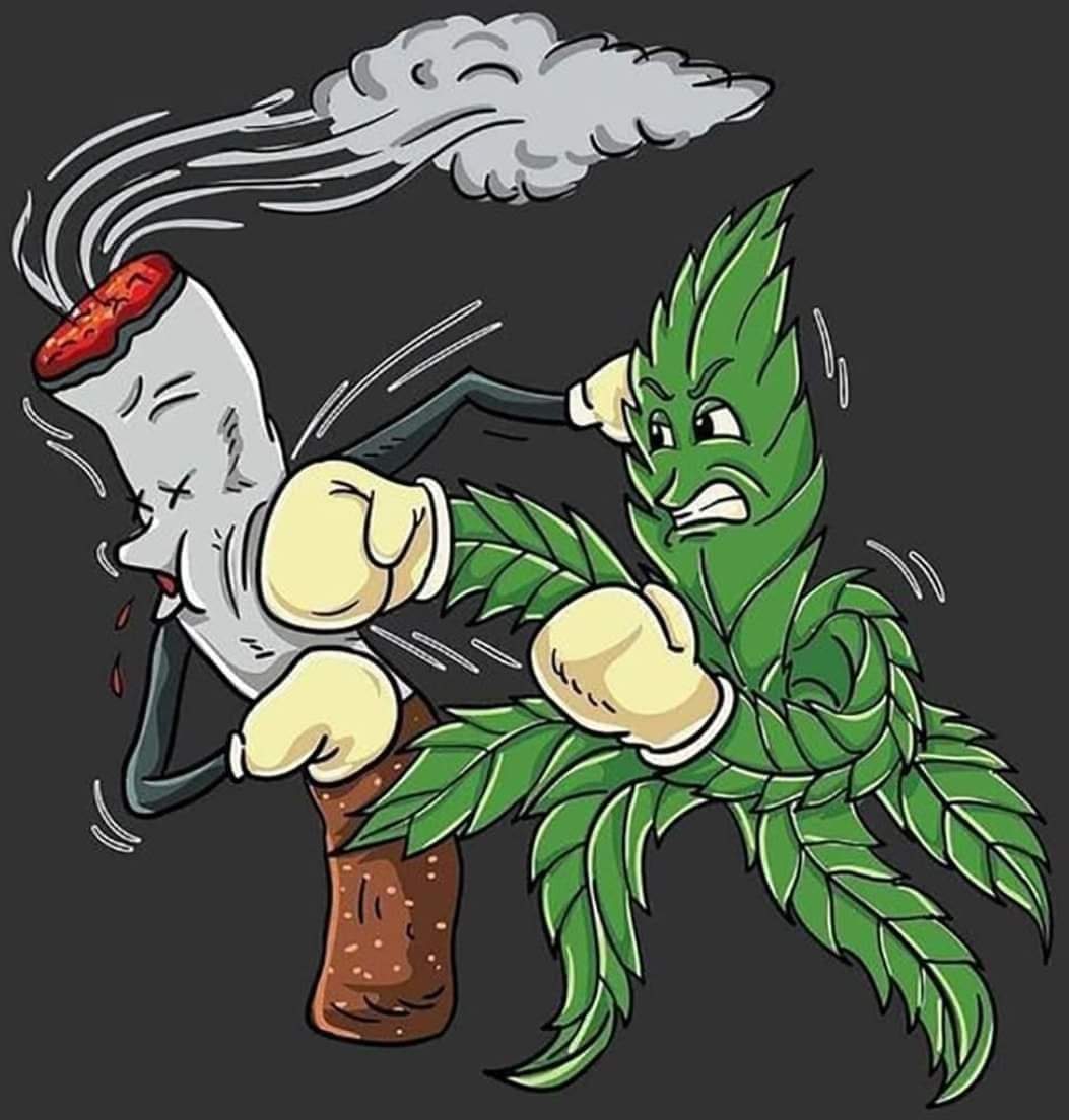 ModernMed_LA's tweet photo. We know quite a few people who have been able to stop smoking #cigarettes due to #medical #cannabis. Do you have one of those success stories too?
Give us a call and #GetMedicated 337-564-1589
.
.
.
.
Image came from: International High Life. Not sure who the artist is. https://t.co/0AZK32D2mu