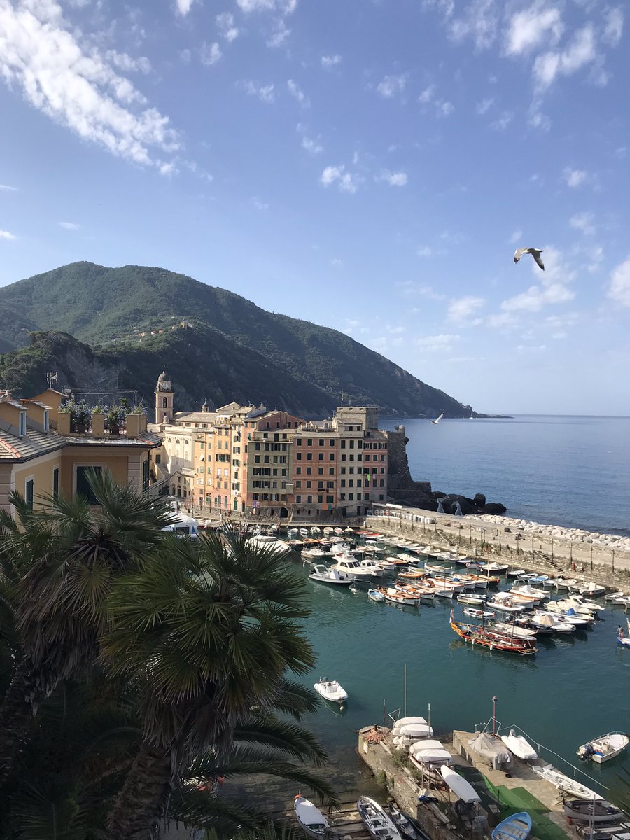 HelenKM22's tweet image. Flower tastic today, and some views 💙 Even hotter on the trail, made a dip in the sea even better this avo 🥾🥾