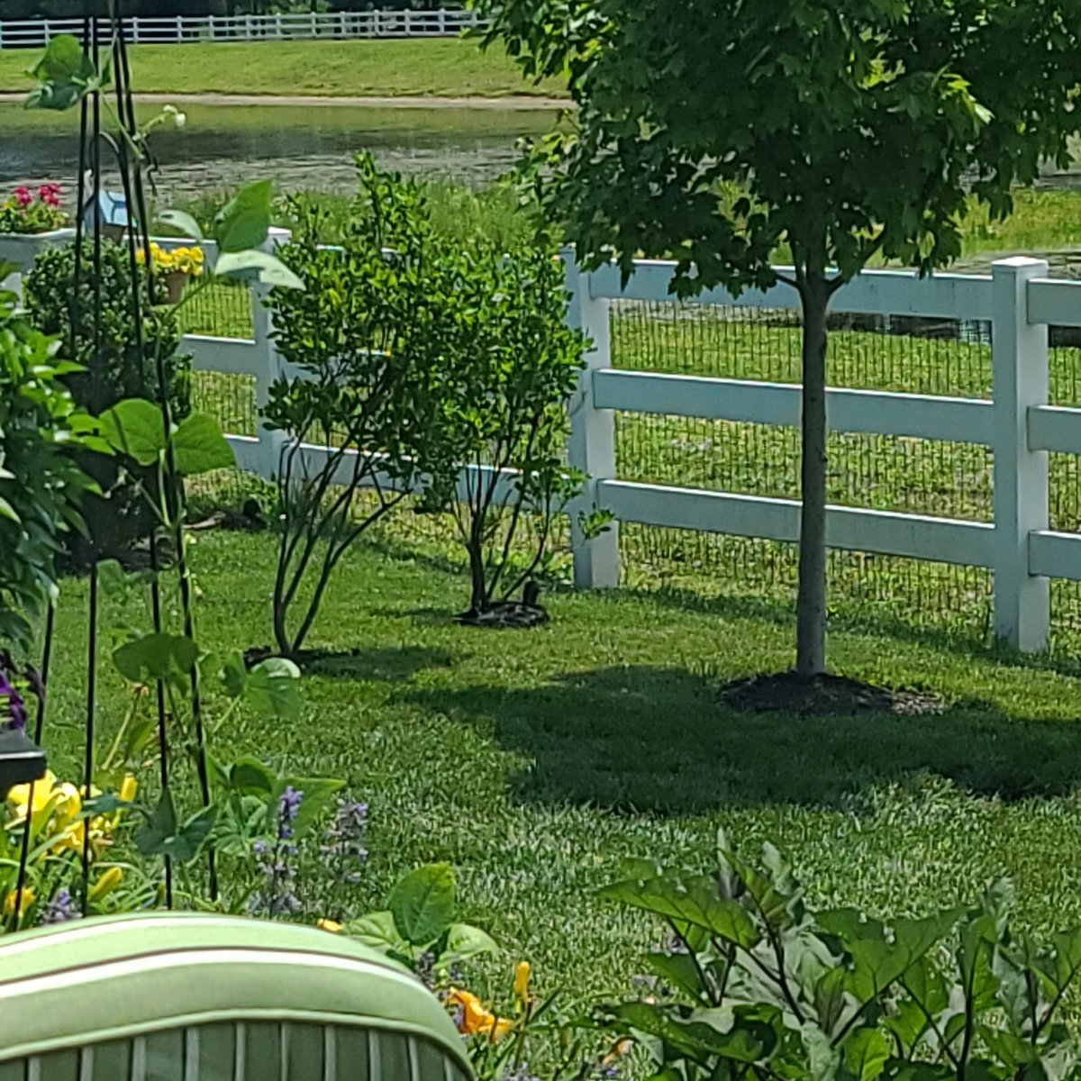 cheralovin's tweet photo. I spy a duck 🦆🥰 https://t.co/yr1YwrkixO