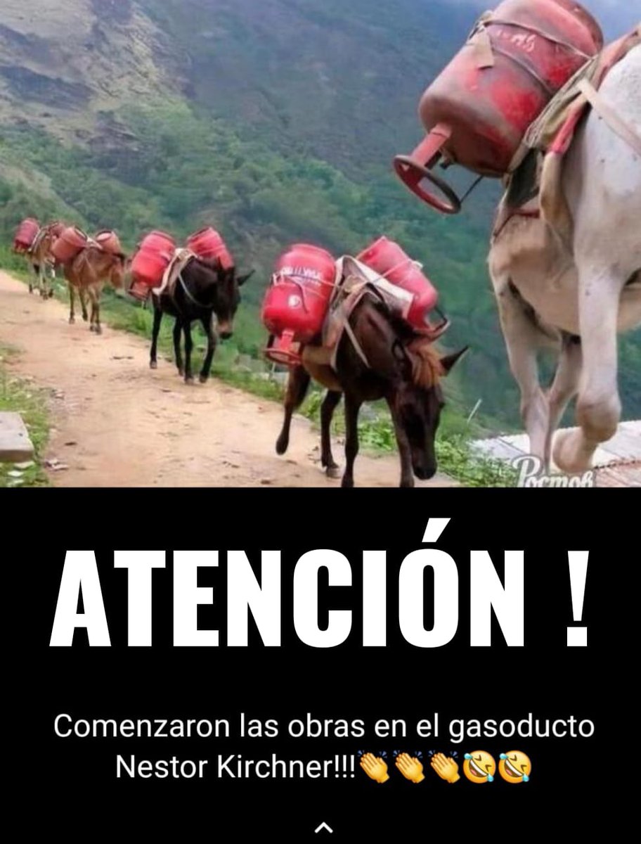 Mabel48862754's tweet photo. @alferdez @KulfasM @RossiAgustinOk @cristinacaamano @danielscioli @produccion_arg https://t.co/JdN8G5E2rd