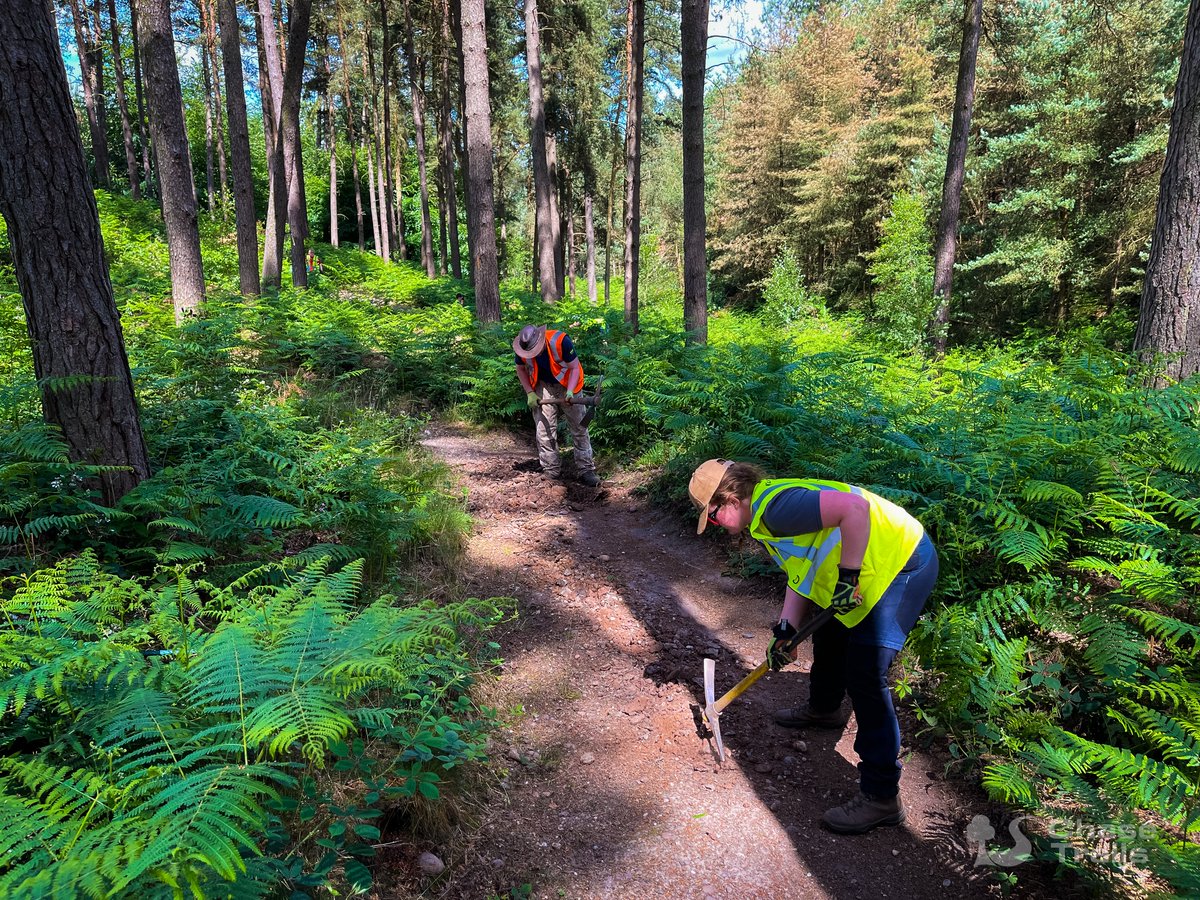 Chase Trails Volunteer Trailbuilders tweet media