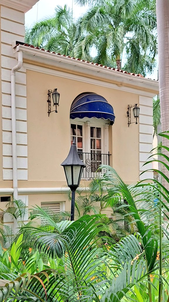 Para mí siempre, siempre habrá un motivo para fotografiar... Y visitar este emblemático lugar de la ciudad, no es la excepción.

<a href="/HotelElPradoBaq/">Hotel El Prado Barranquilla</a>
Patrimonio Arquitectónico de Barranquilla 🏨🌴