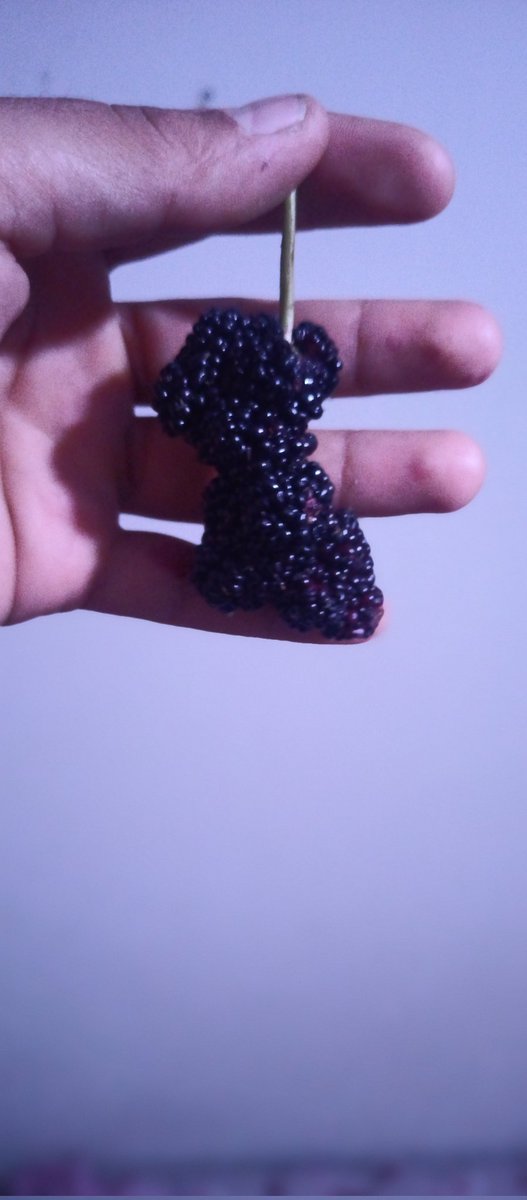 akti_cemal's tweet photo. Dutun böylesini gördünüz mü ya Allah bereketiyle artırsın inşallah..🤪🤪😁😁 https://t.co/lgqG2eDTTA