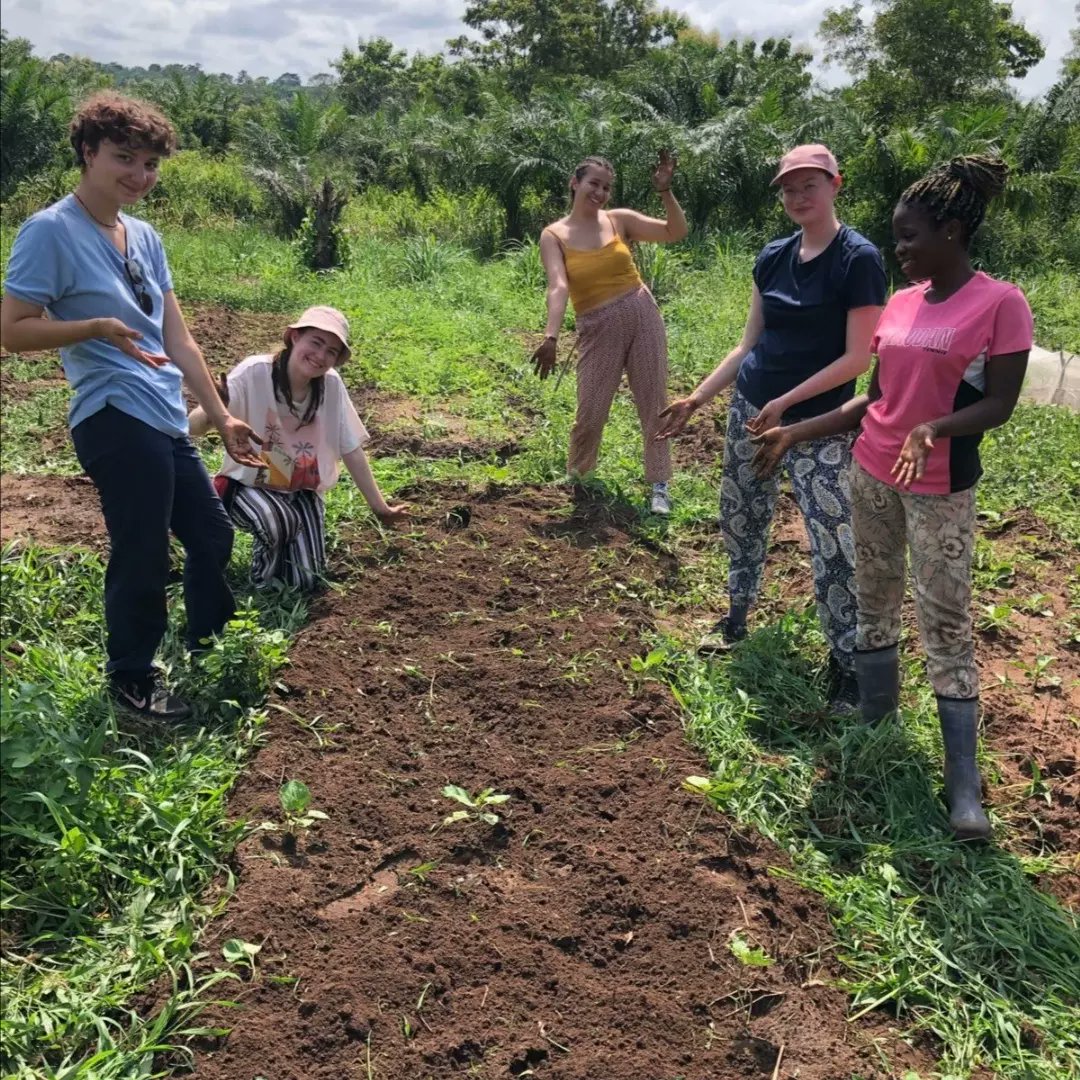 Roguy_Glaube1's tweet photo. Journée de travail pour les benevoles du GEDAM sur la ferme agroécologique de VADD et du Gedam. Au programme : decouverte du lieu, desherbage et binage.
#agriculture #nature #VADD #Gedam #Vision_Afrique_de_demain https://t.co/g4KHSsPQ3G