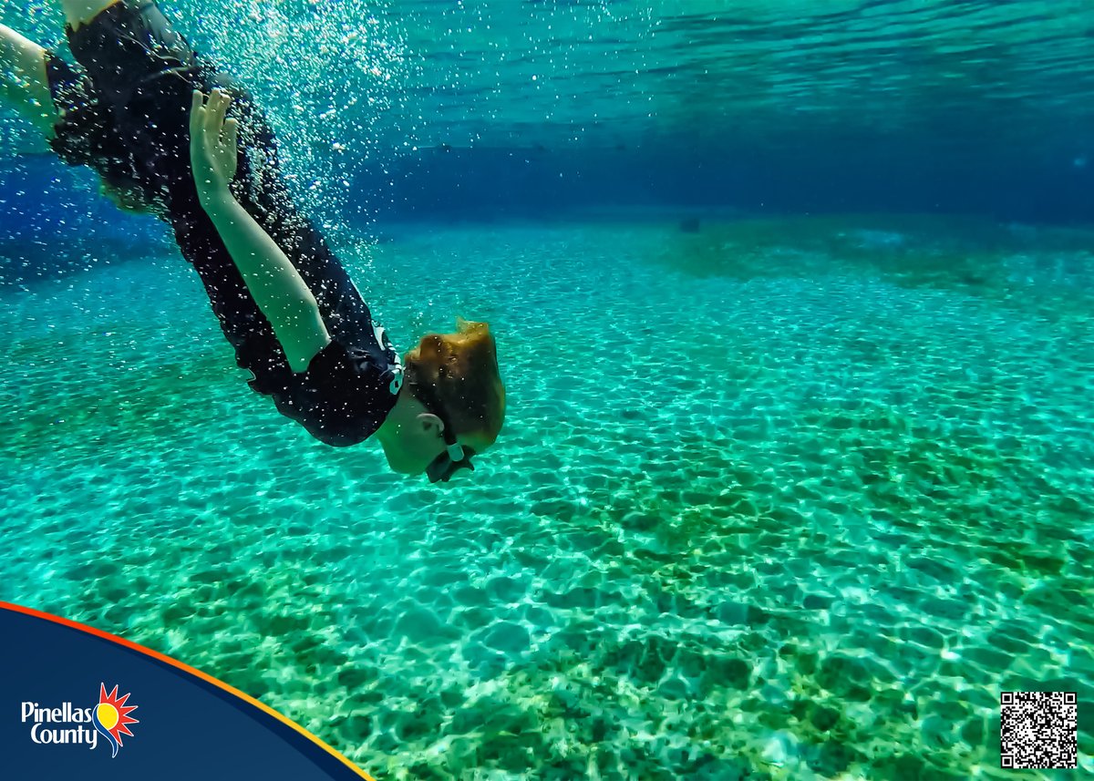 PinellasGov's tweet photo. The Floridan Aquifer is a natural treasure supplying drinking water to nearly 10 million people in Florida & the Southeast. To help preserve the quality of the precious waters, consider what gets flushed down the toilet or washed down the drain in your home. #InTheKnowAboutH2O https://t.co/hvRFt642xp