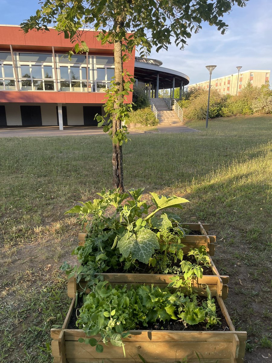 Josée Mandrier tweet media