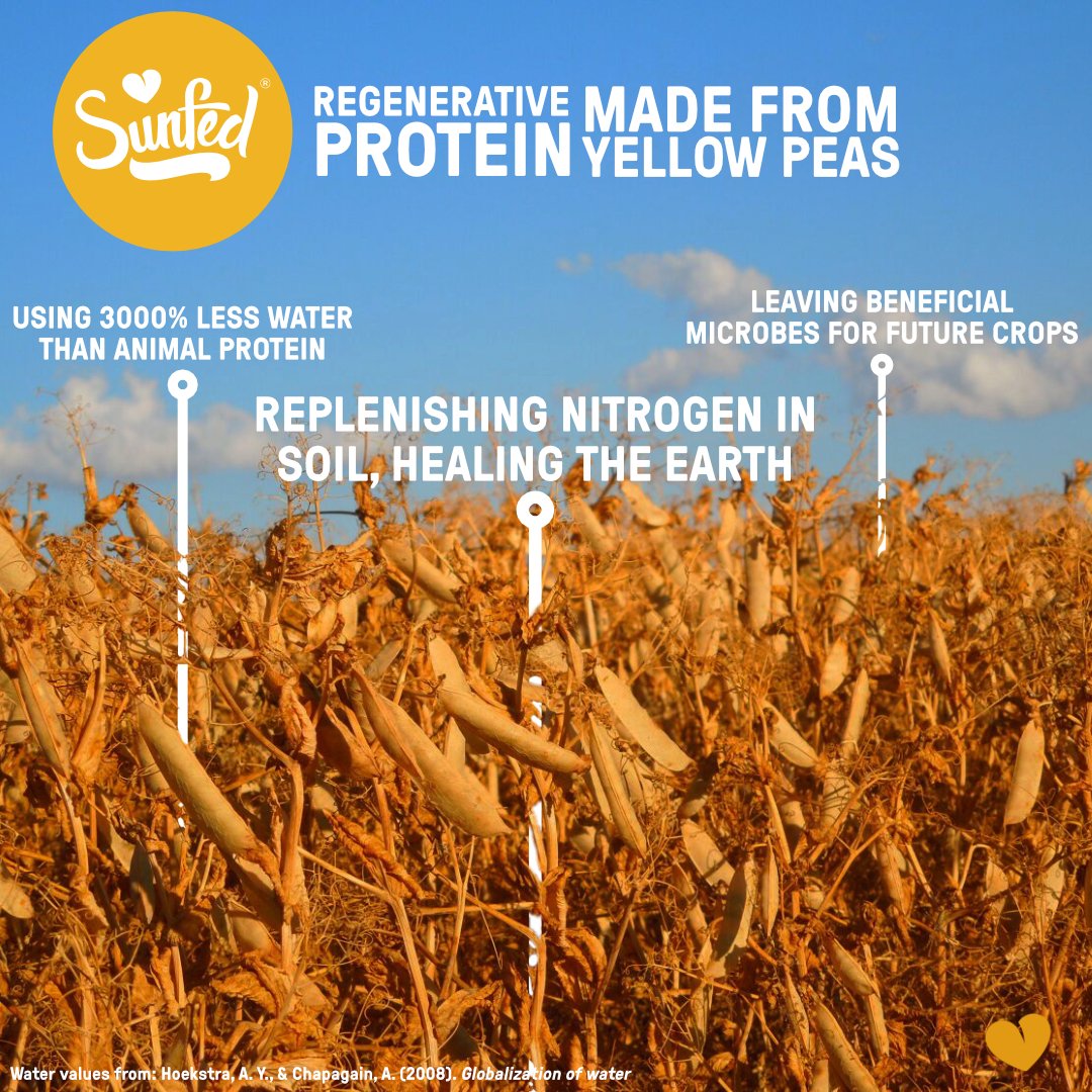 We strive to change the world for the better, all our products are made from regenerative yellow peas. These 'Pulse' crops are naturally protein dense with nitrogen-fixing properties, reducing the need for harmful nitrogen-rich fertilisers. Meaning they're great for the planet!
