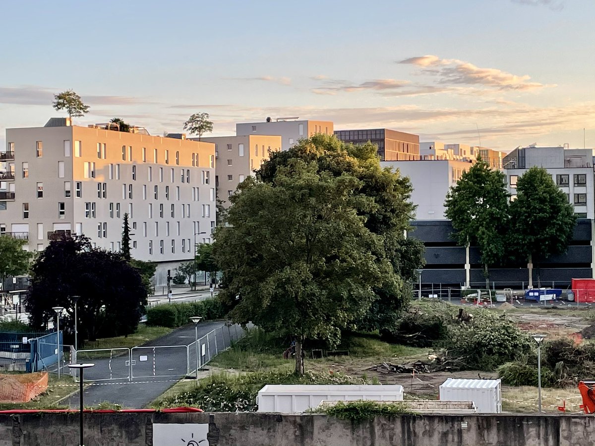 JacquesPaganel_'s tweet photo. @ElusEcoloNantes Demain,ces magnifiques arbres en pleine santé vont être abattus dans l’indifférence la + totale pour bétonner le dernier espace naturel  du bd Vincent Gâche,sur l’île de #Nantes.Le massacre a déjà commencé:https://t.co/OEaudP4q6k
Il est encore temps de les sauver @DelphineBonamy! https://t.co/0QbTdyUnMq