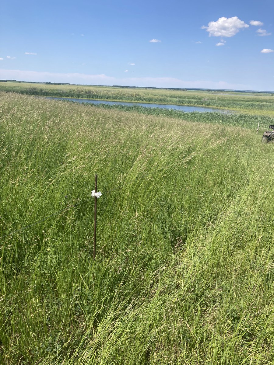 Mitch Stuart tweet media