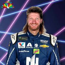 NfTrashbag's tweet photo. Celebrating the 4th of July we also celebrate @DaleJr 's #mullet. This NASCAR beauty is a driver and a winner in our book! 

#mulletsforever #trashbagNFTs #rockhthemullet https://t.co/I6ZyGEsv6e