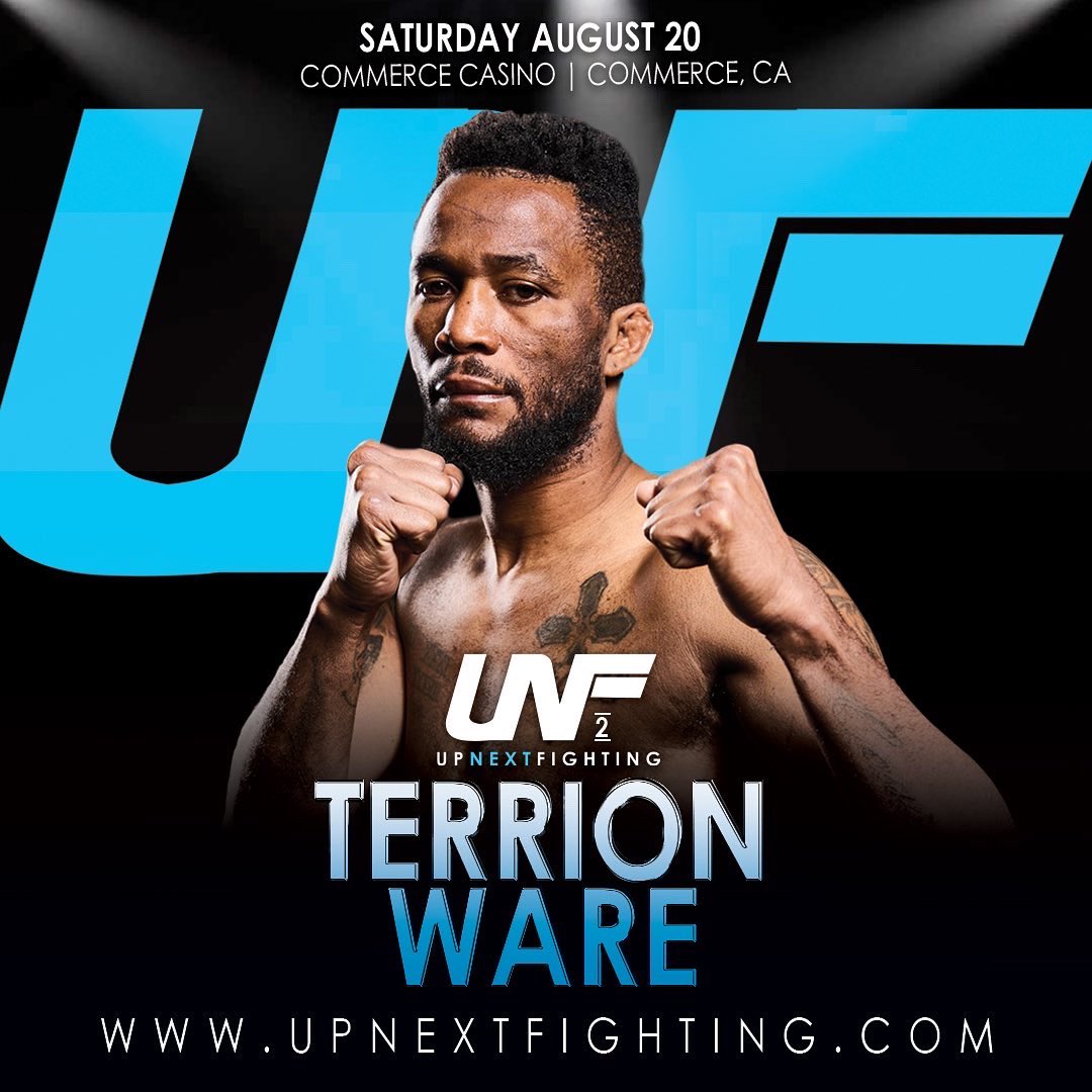 Up Next Fighting tweet media