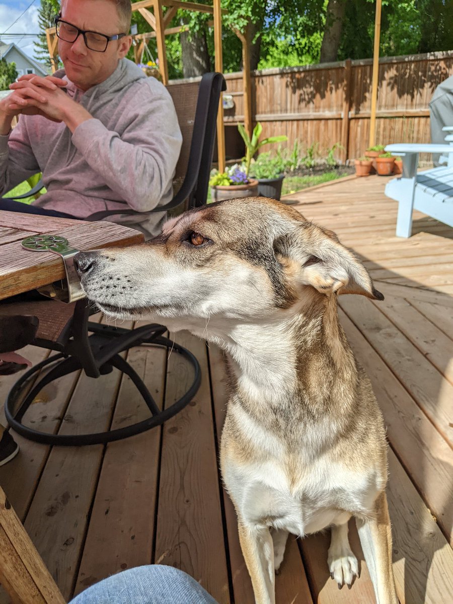 Our new head writer Aunt Peggy has been working us to the bone to get our shows ready for the Grindstone Theatre Festival. Link in bio for tickets fyi.