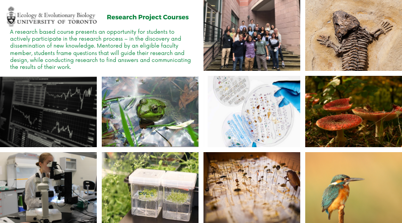 ATTN Undergrads: Interested in taking an EEB Research Project Course this upcoming Fall/Winter academic year, visit our website for info and forms: uoft.me/eebresearchpro… Tip: visit the EEB Undergraduate Research Fair website (eebuoft.weebly.com) too to see past projects!