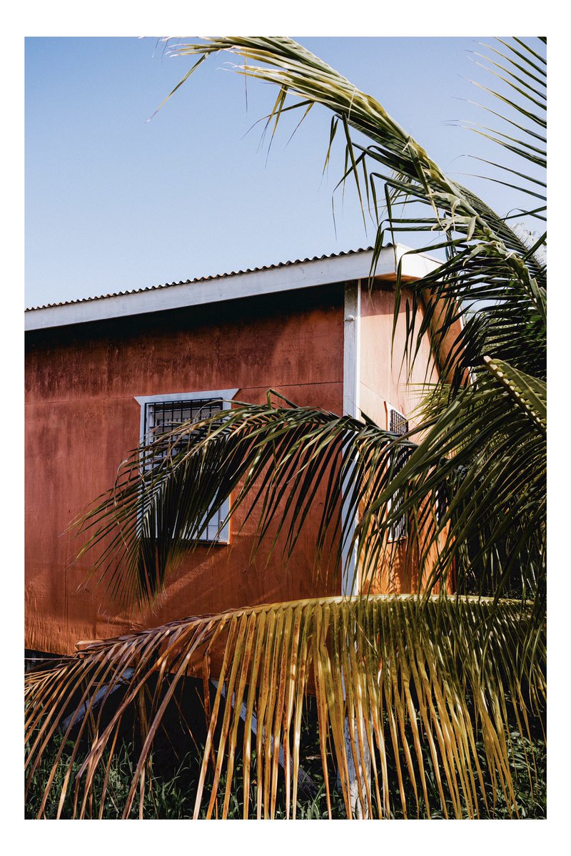 DillonWehde's tweet photo. Belize is amazing. Spent tons of time with locals exploring some of their homes and neighborhoods. Although i am working for a charity and have to capture some of the bad aspects of the country, i wanted to capture some of the amazing color and life that i could see too. https://t.co/uouFMAgzxH