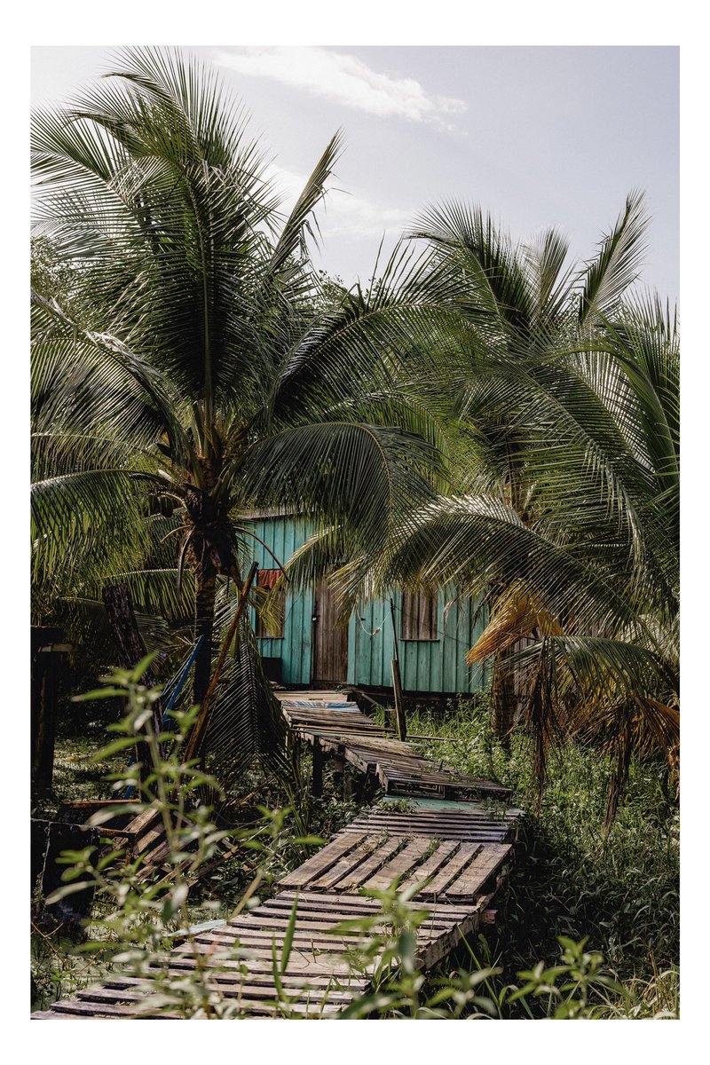 DillonWehde's tweet photo. Belize is amazing. Spent tons of time with locals exploring some of their homes and neighborhoods. Although i am working for a charity and have to capture some of the bad aspects of the country, i wanted to capture some of the amazing color and life that i could see too. https://t.co/uouFMAgzxH